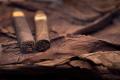 Guide to Cigar Wrappers: A Comprehensive Exploration