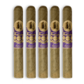 hamilton candela 5 pack product page