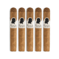 legacy franklin connecticut robusto 5 pack