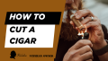 How to Cut a Cigar the Right Way