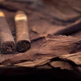 Guide to Cigar Wrappers: A Comprehensive Exploration