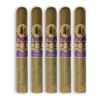 hamilton candela 5 pack product page